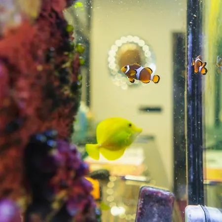 Astory Hotell Plzeň